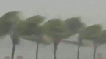 Hurricane Irma: Florida residents warned to beware alligators, snakes