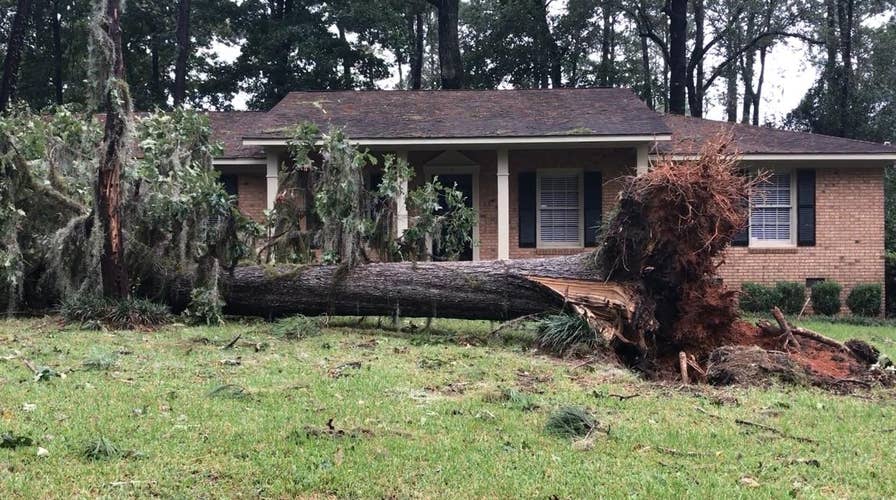 Over 1 million Georgians go without power in Irma aftermath