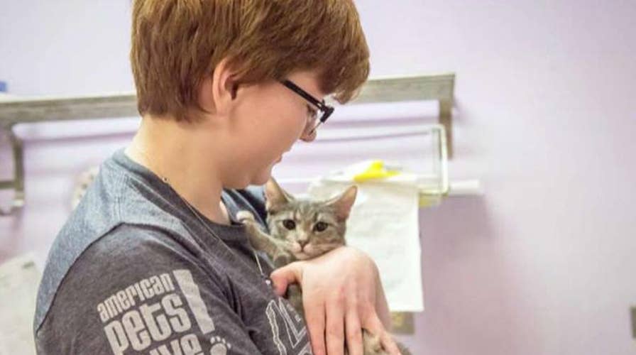 A look at animal rescues during Hurricane Irma