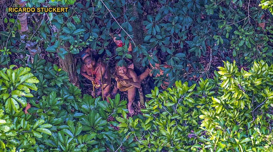 Amazon Massacre? Members Of Uncontacted Tribe Killed By Miners, Reports ...