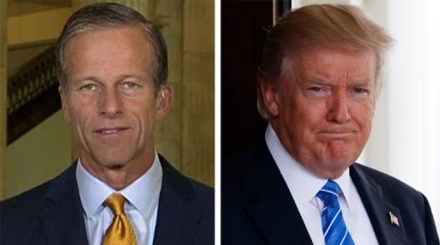 Sen. Thune on the bipartisan dinner with President Trump