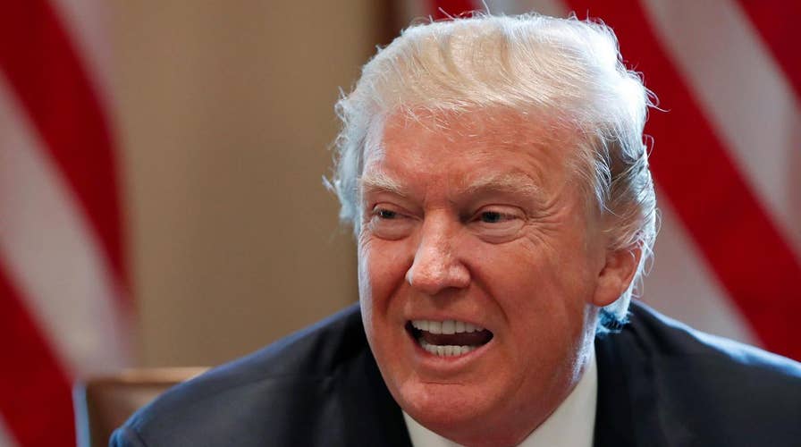 How should President Trump navigate the DACA dilemma?