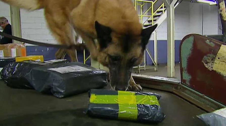 Intercepting opioids shipped into the US