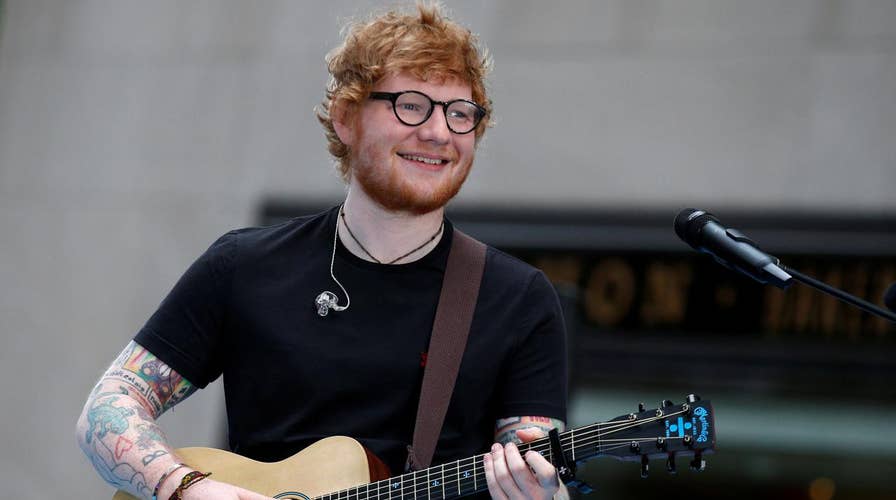 ‘Cat Heaven Island’ begs Ed Sheeran to visit