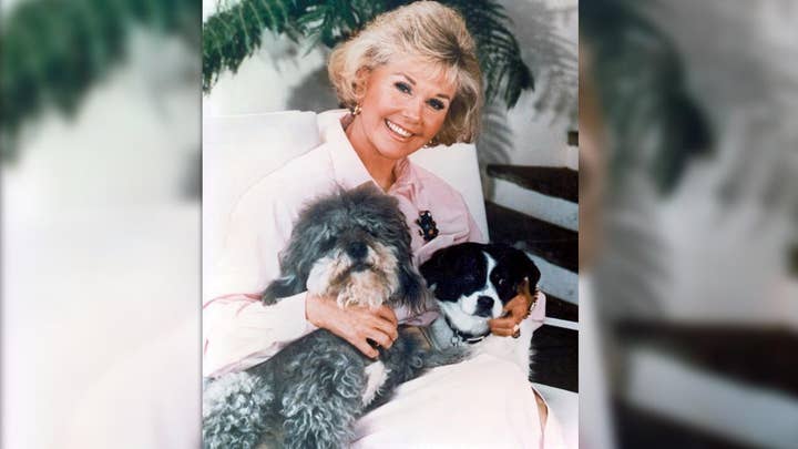 How Doris Day’s life was changed by animals