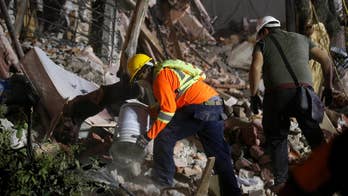 Mexico earthquake: Animals rescued from collapsed medical lab