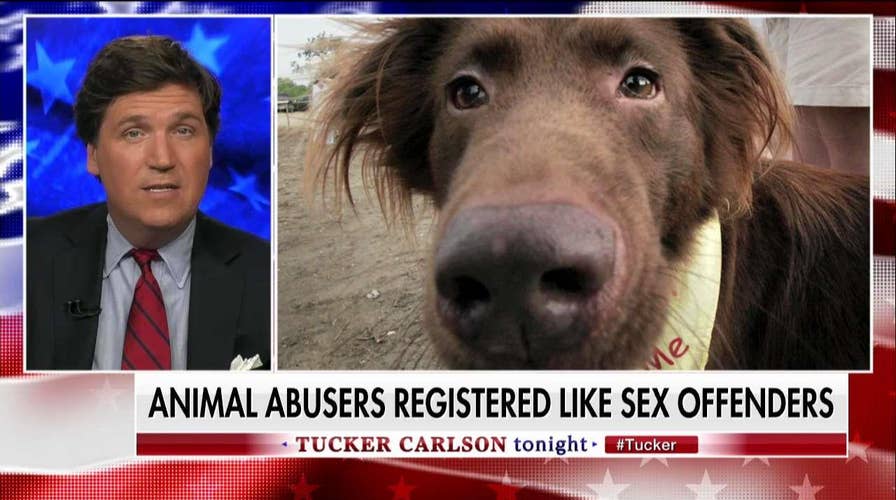 Tucker: Animal Abusers Should Register w/Sex Offenders