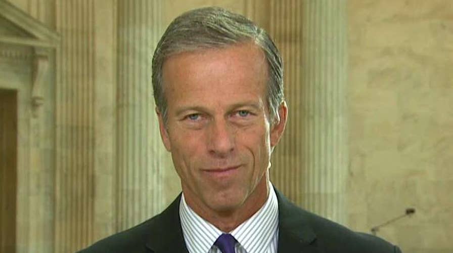 Sen. Thune: Republicans can't afford to fail on tax reform