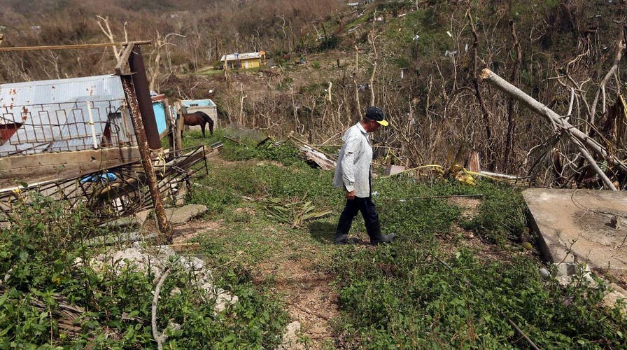 Hurricane relief in Puerto Rico a do-it-yourself affair?