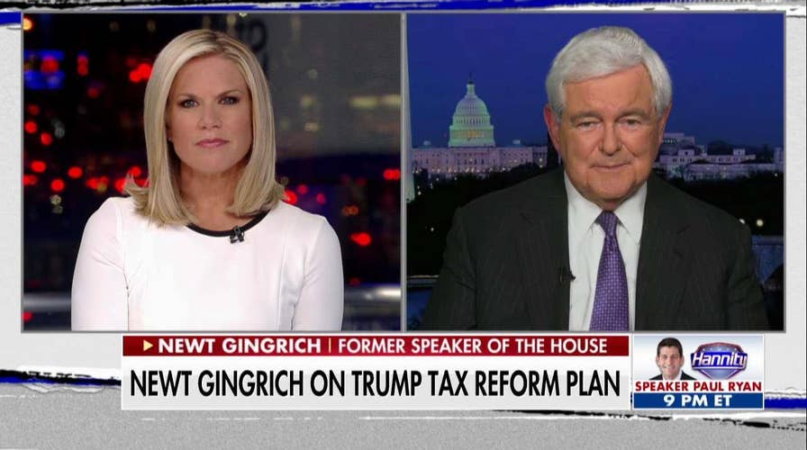 Gingrich Rips Schumer on Debt