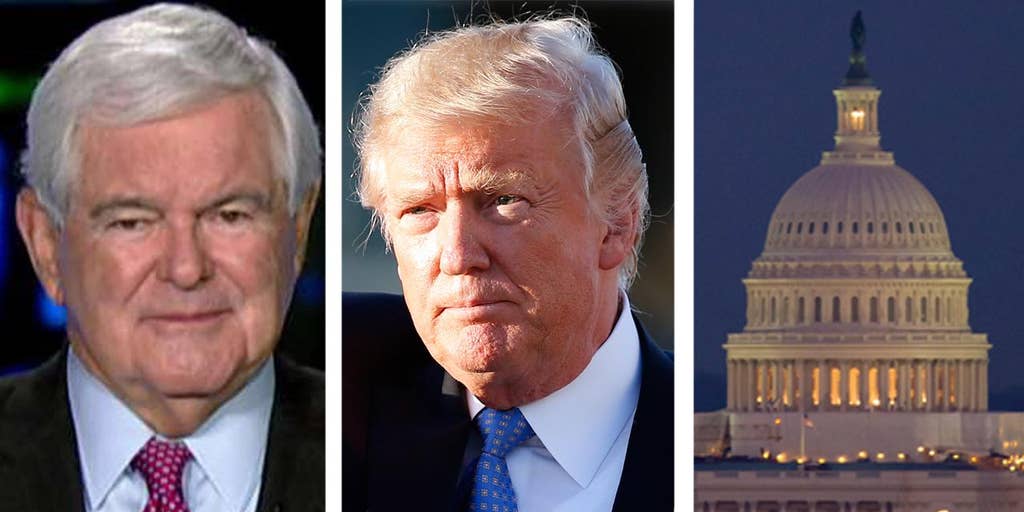 Newt Gingrich Trump And The Congress Need Each Other Fox News Video 