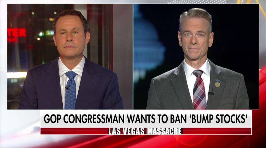 GOP Rep on Gun Control Debate: 'To Get to a Solution, You Can't Just Go After the Tools'