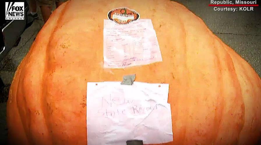 Giant pumpkin breaks record at Missouri festival