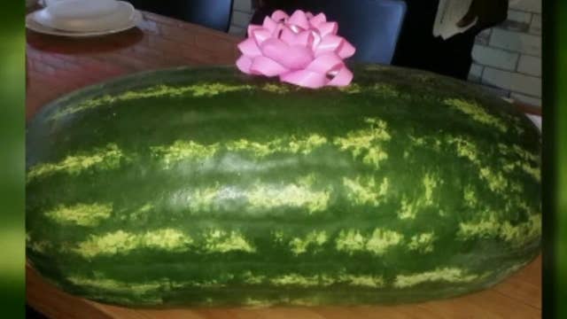 Detroit firefighter dismissed over 'racist' watermelon gift	