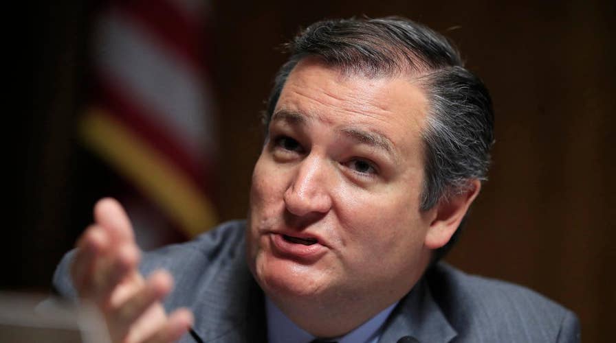 Cruz warns GOP could face a 'bloodbath' at midterms