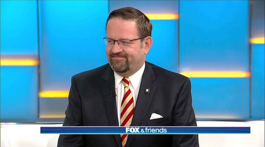 Gorka to GOP Establishment: 'Get on Board or Get Out of the Way'