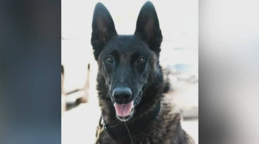 Emotional final farewell for Illinois K-9 officer
