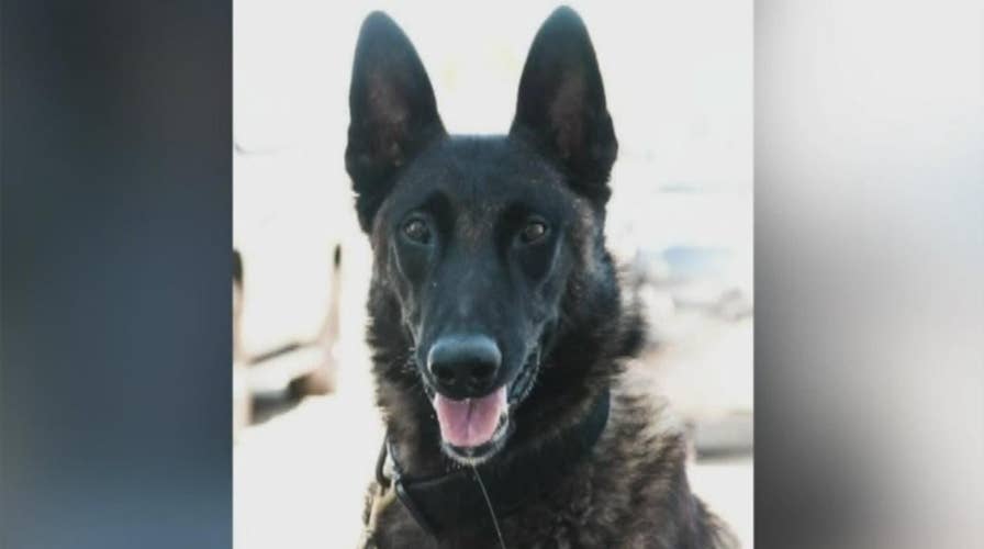 Emotional final farewell for Illinois K-9 officer