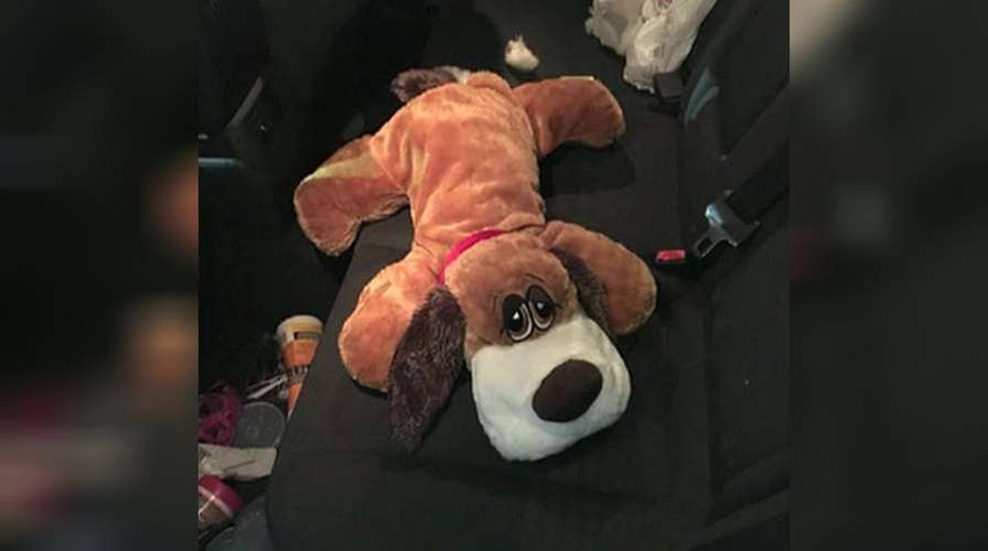 Border Patrol dog sniffs out drugs inside toy