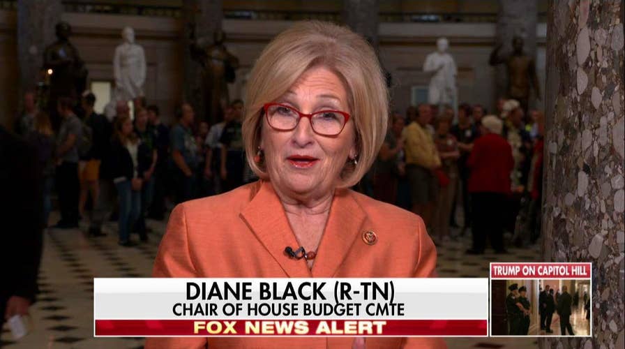 Diane Black: The Senate Is 'Acting Like an Adult Child Care Center'