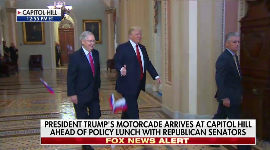 Protester Throws Russian Flags at Trump As He Walks Through Capitol