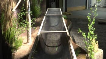 500-year-old Native American canoe to be unveiled to the public at Mississippi museum