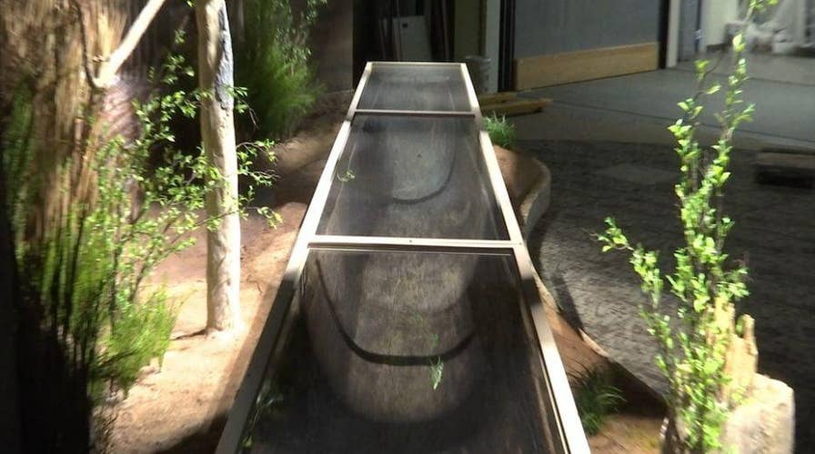 500-year-old Native American canoe to be unveiled