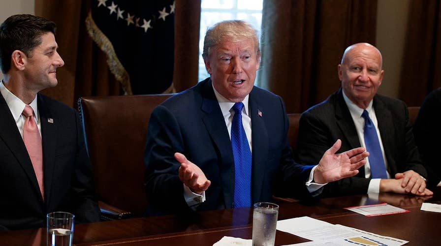 Trump on terminating diversity visas, tax reform