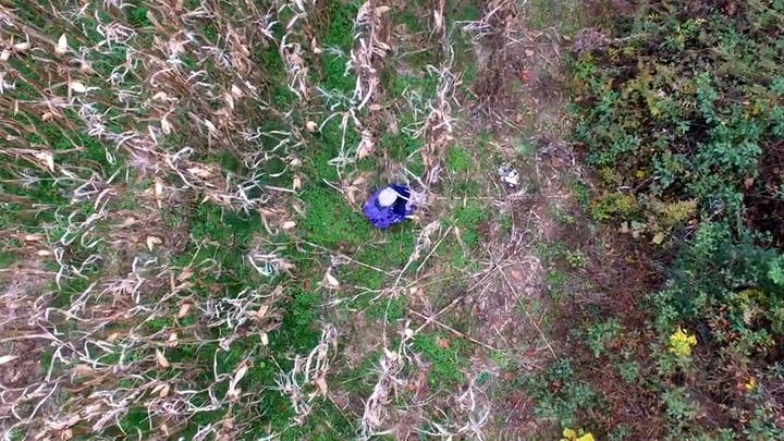 Cops use drone to find missing 81-year-old lost in cornfield