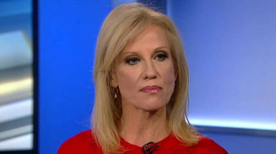 Kellyanne Conway looks back on Trump's win