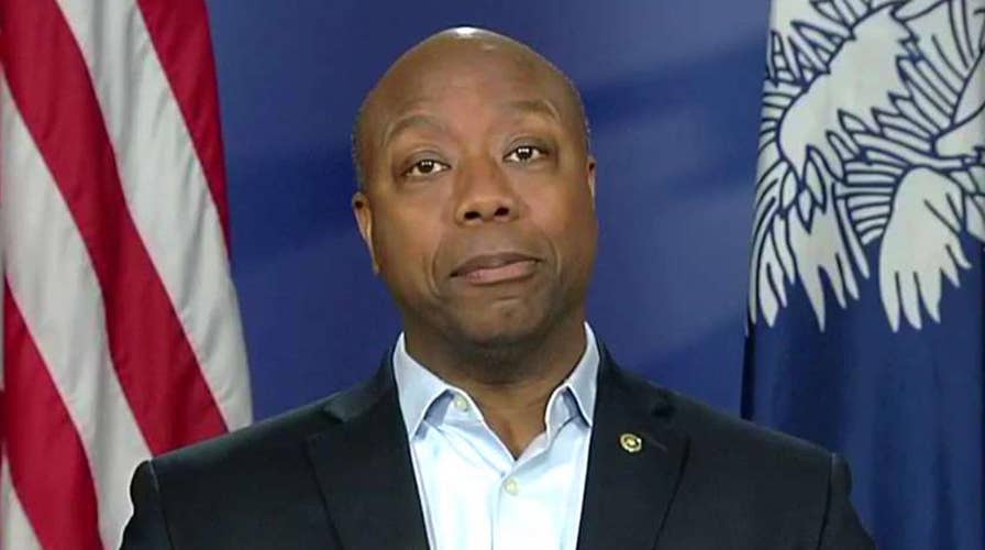 Sen. Tim Scott on the Senate's tax reform proposal