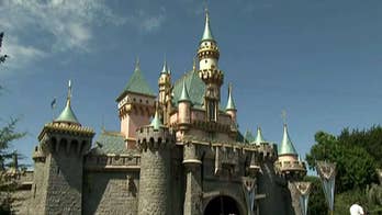 Trump supporter ejected from Disneyland after hanging large Trump banner in park: report