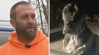 Armed Kentucky homeowner halts alleged thief with gun, 150-pound Great Dane