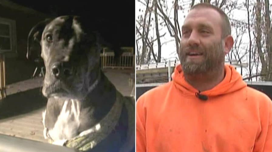 Man holds off suspected robber with gun, Great Dane