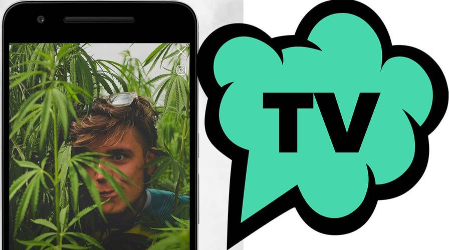 How TokeTV is banking on legalizing marijuana