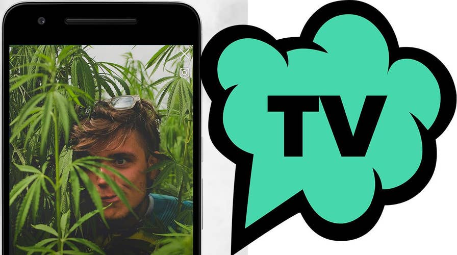 How TokeTV is banking on legalizing marijuana