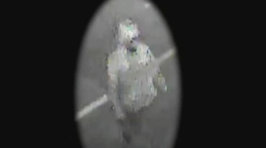 New surveillance video released in Tampa killings