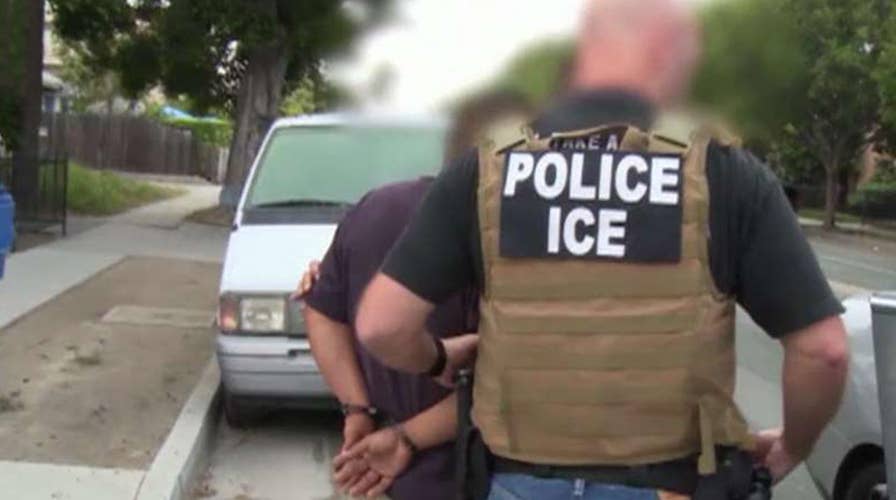 ICE officials upset over Trump's 'army of Obama holdovers'