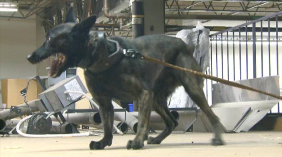 Protecting K-9 units from accidental overdose