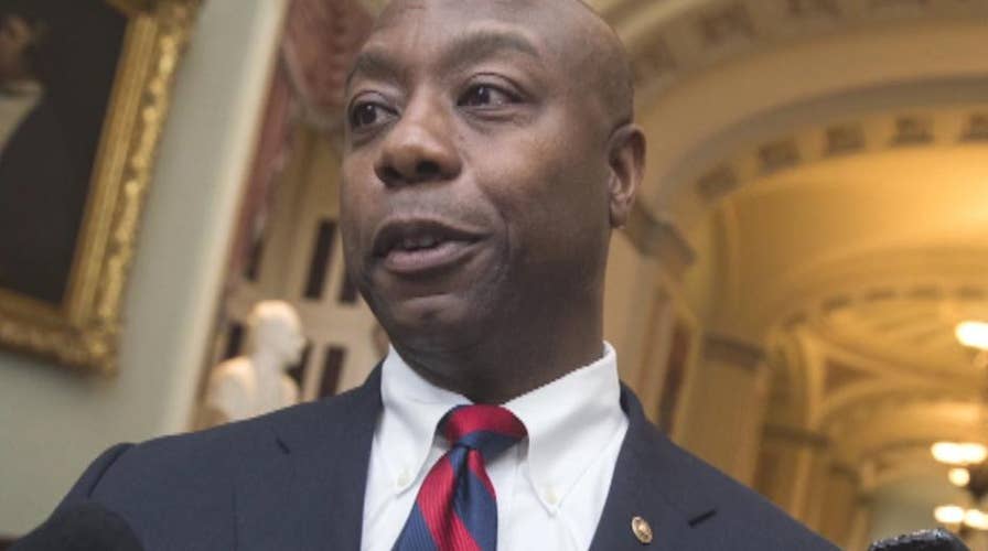 Coming up on 'Fox News Sunday': November 19