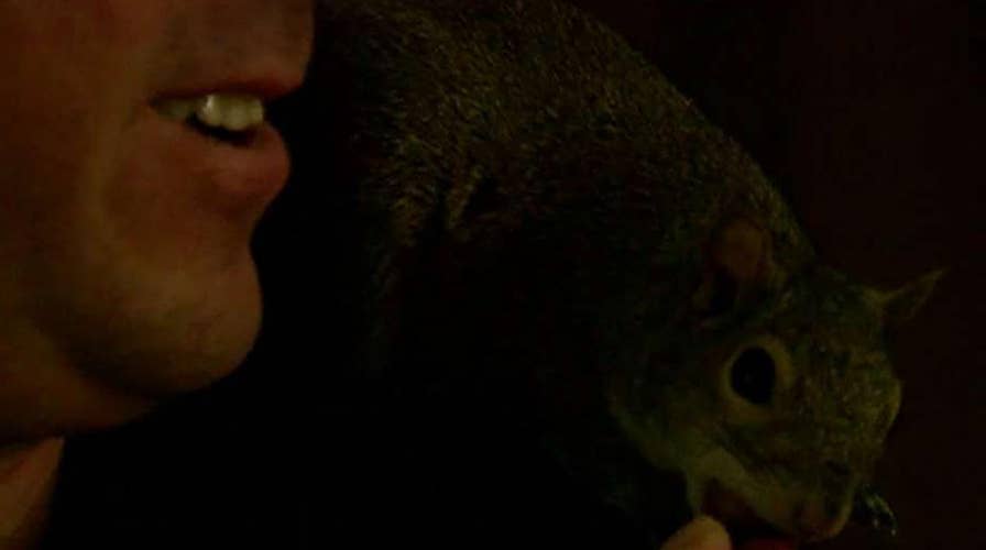 Man speaks out on fight to keep 'emotional support squirrel'