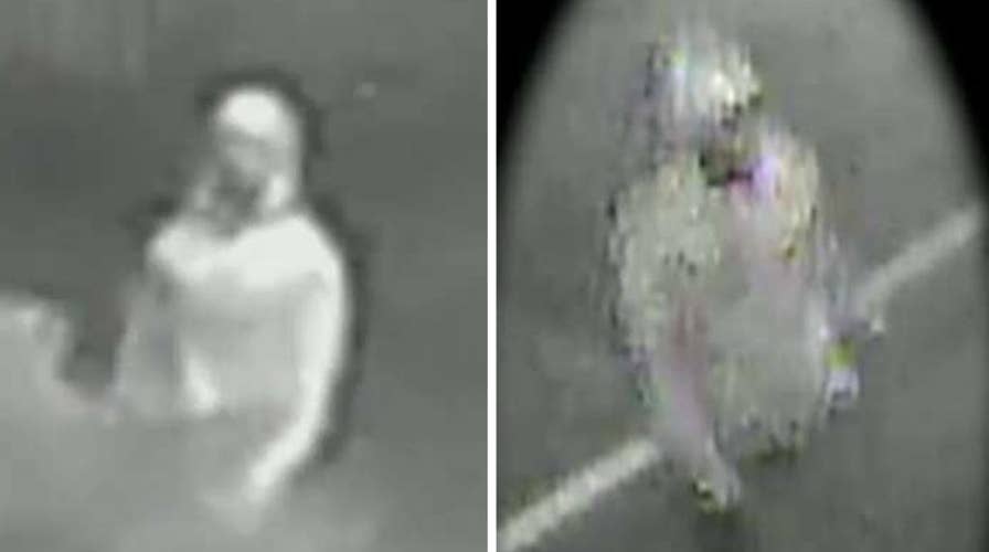 $100k reward for info about possible FL serial killer