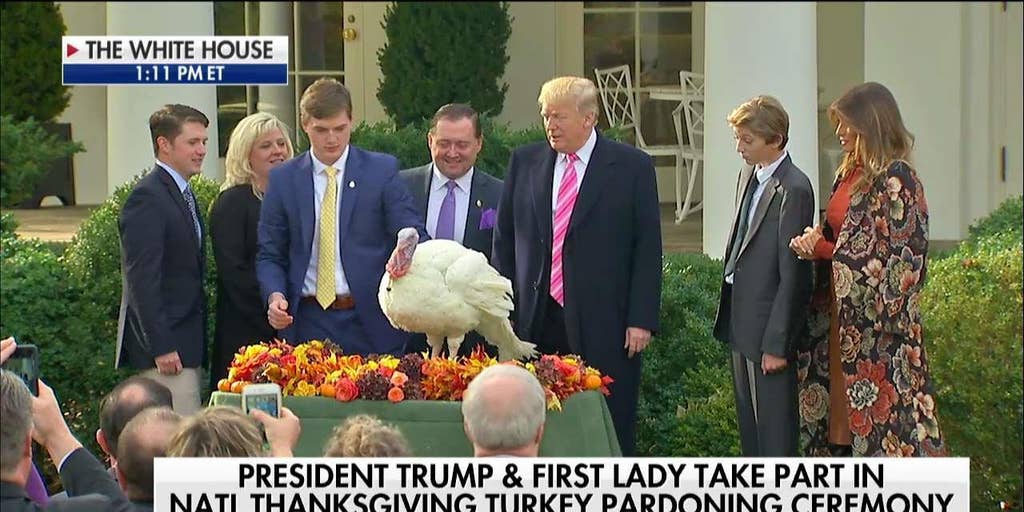 Trump Pardons Turkeys For Thanksgiving Fox News Video 4393