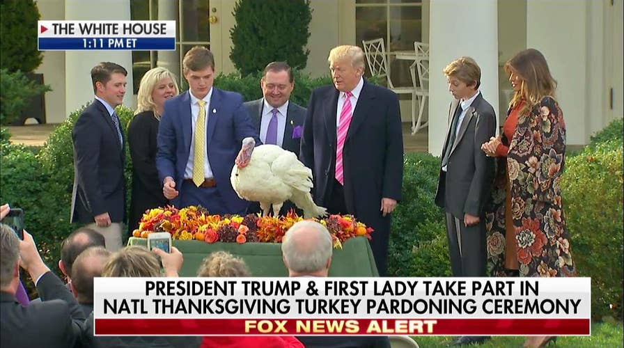 Trump Pardons Turkeys for Thanksgiving