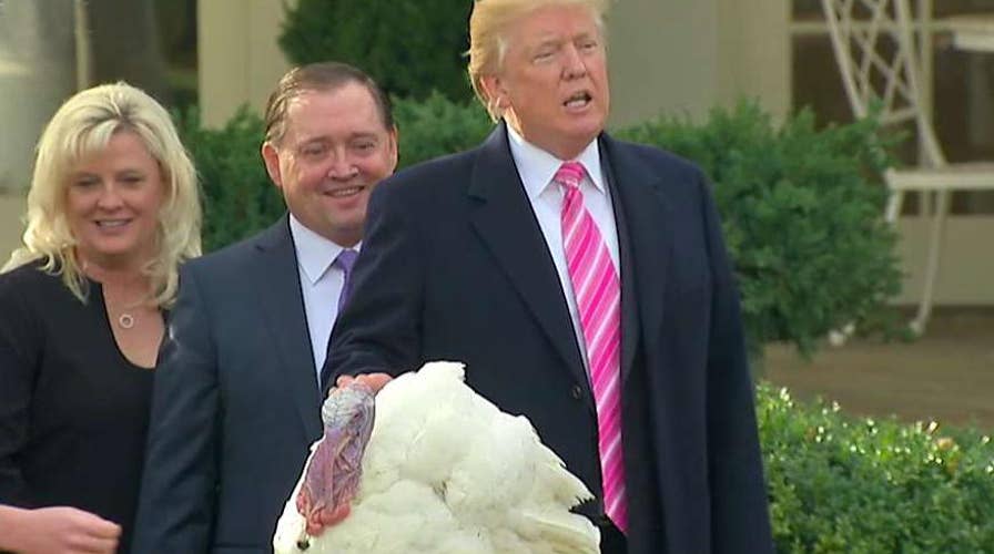 President Trump pardons Thanksgiving turkey