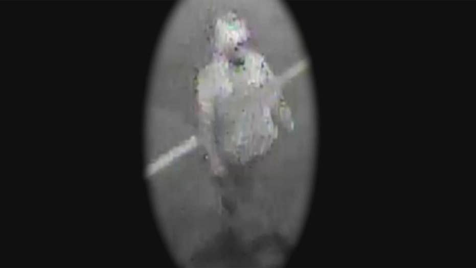 Profile Of A Serial Killer Police Hunt Killer Behind 4 Tampa