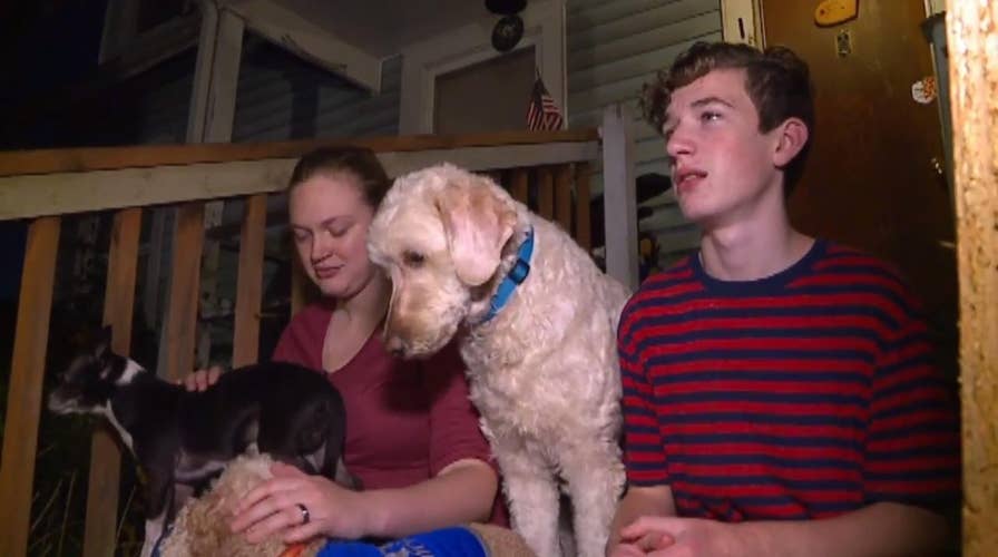 Dogs fend off escaped convict