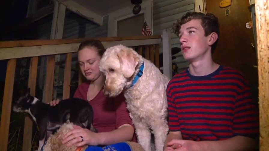 Escaped convict finds his way into a home where a furry pack awaits him.