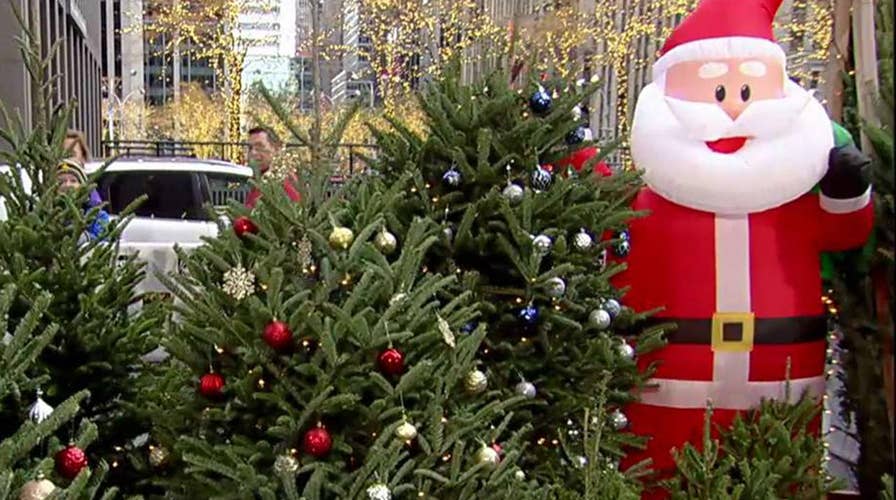 How to pick the perfect Christmas tree