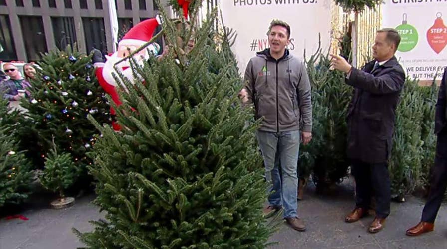 After the Show Show: Christmas trees